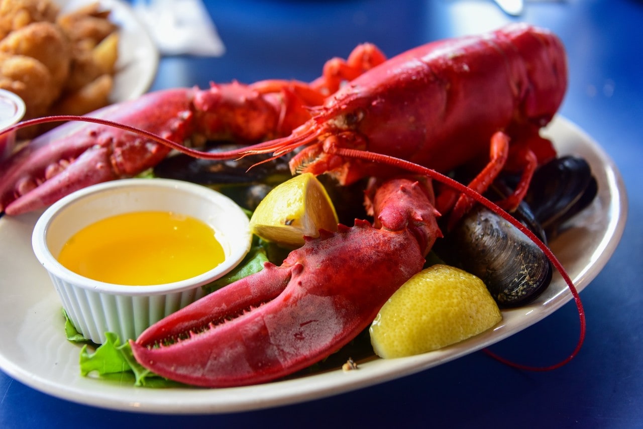 A plate with a steamed New England lobster served with mussels in Boston
