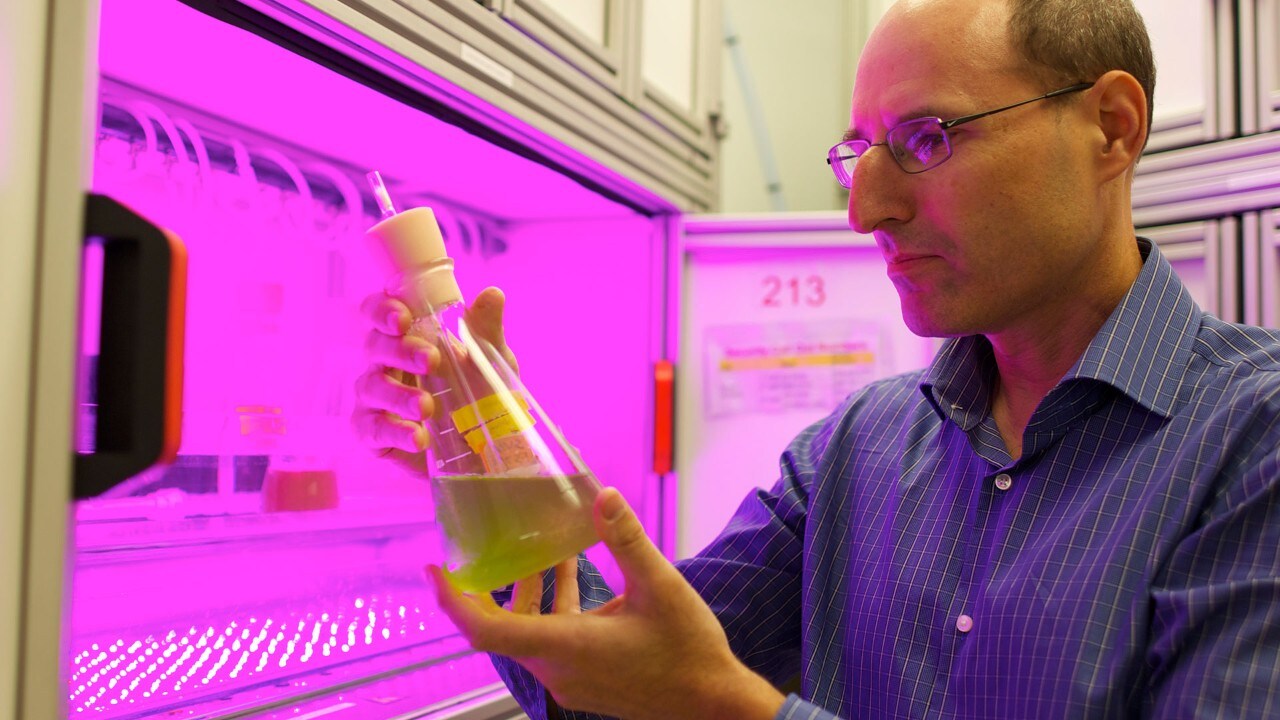 Scientifique dans un laboratoire
